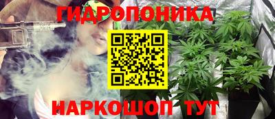 гашик Нарткала
