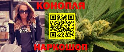 гашик Нарткала