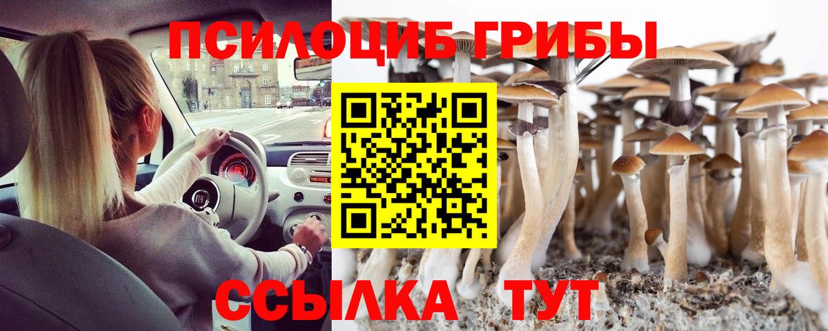 наркотики  Псилоцибиновые грибы Psilocybe  Вход с VPN  Псилоцибиновые грибы мухоморы  Тимашёвск 